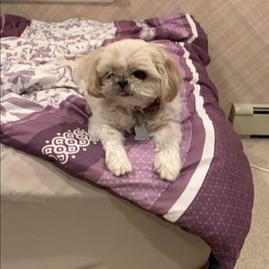 Meet your Posher, Robin farrell